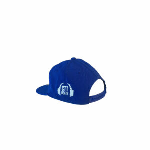 Insanidy X CTT Beats Hats - Image 7